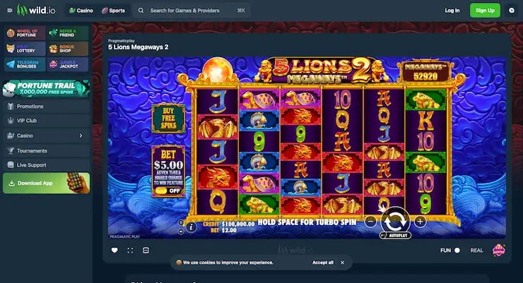 5 Lions Megaways Bildschirmfoto 3